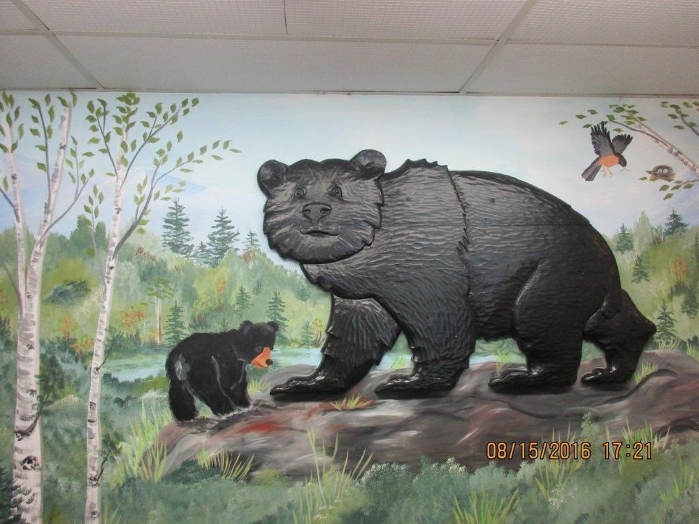 Black Bear Lodge Уотервилл Вэлли Экстерьер фото